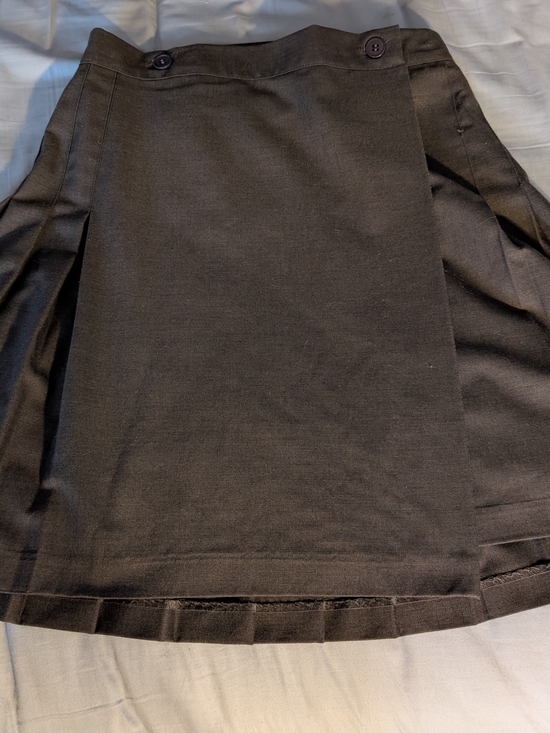 American Apparel Dresses & Skirts - Grey Pleated American Eagle Mini Skirt